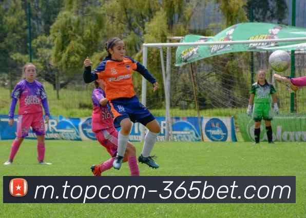 辅助工具 辅助工具